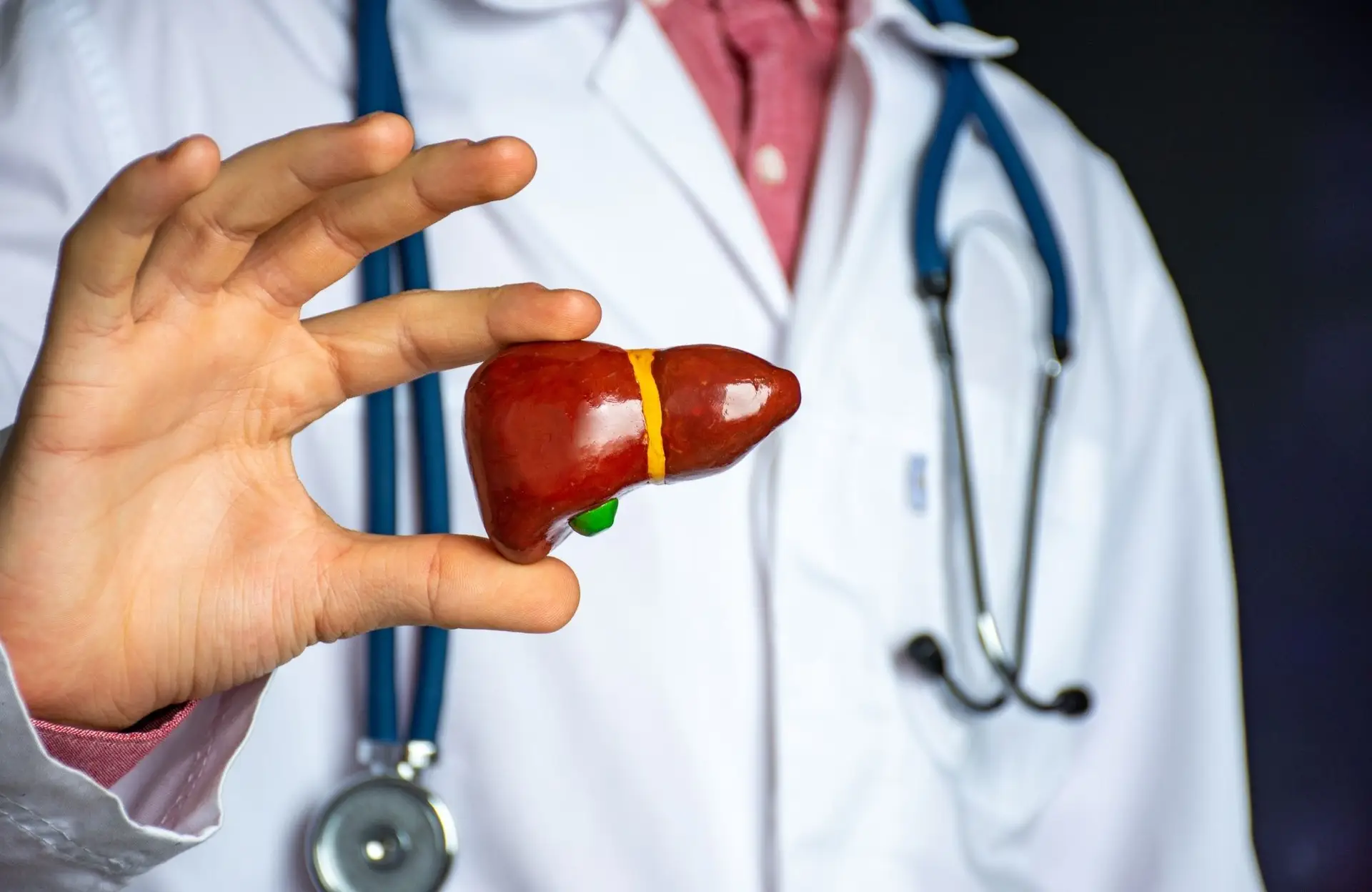Trombose da veia porta: o coágulo que pode afetar o fígado