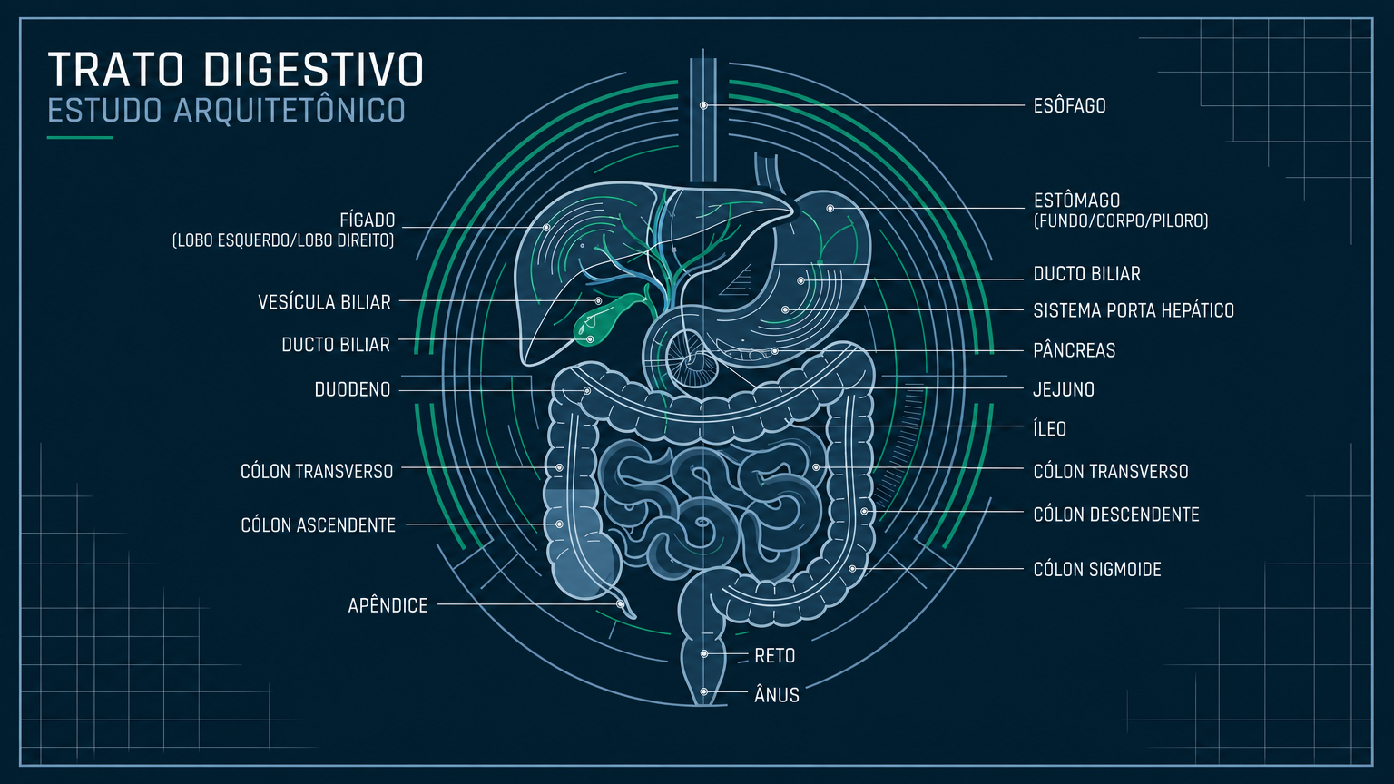 Diagnóstico Clínico e por Imagem das Doenças do Fígado e Aparelho Digestivo